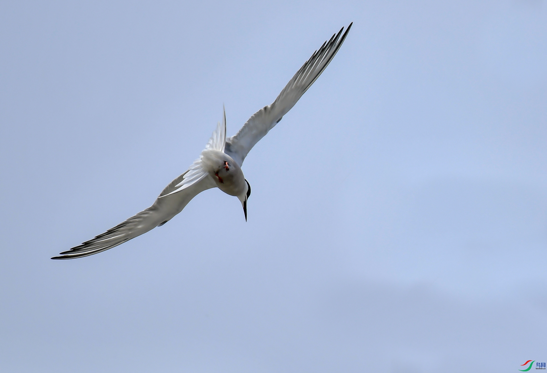 DSC_5073.jpg