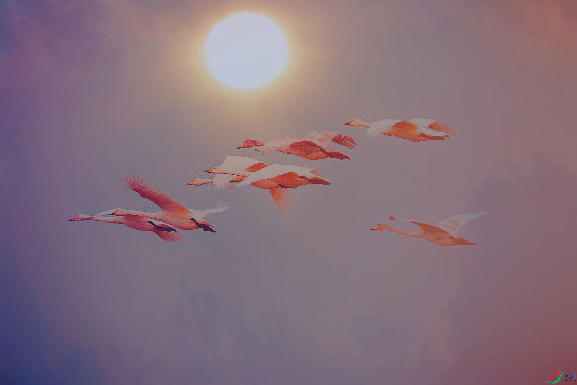_Y0A2101_����_����.jpg