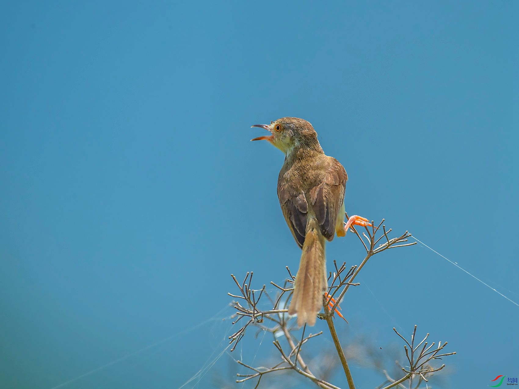 DSC_6364.jpg