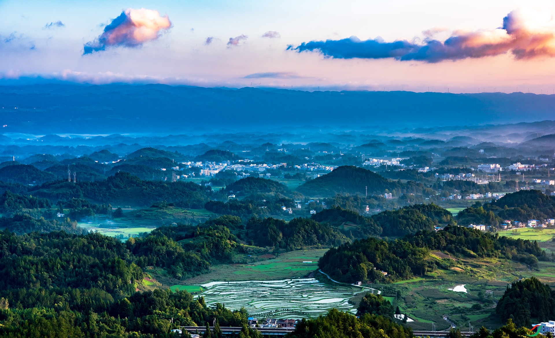 DSC_3687-1.jpg