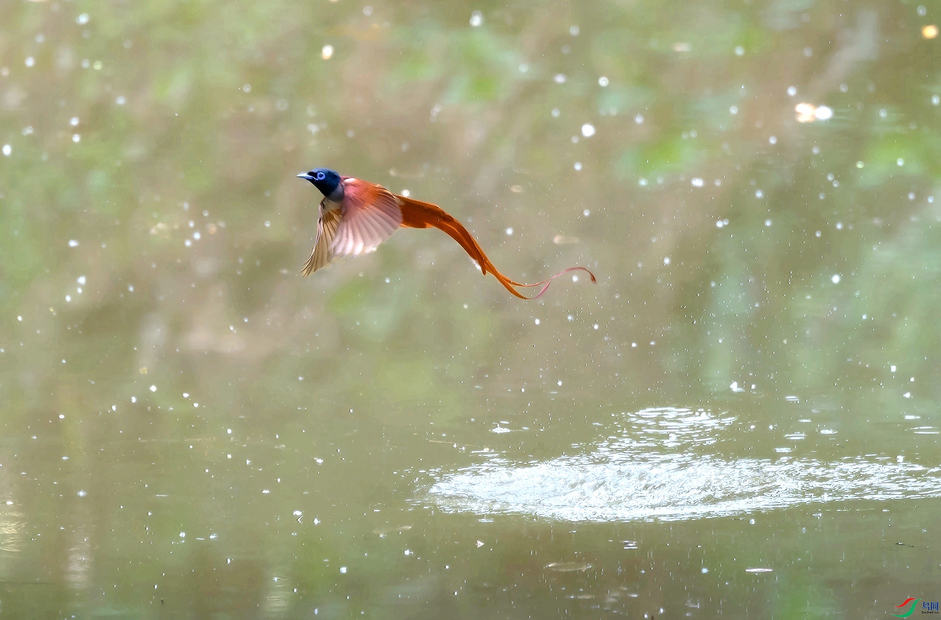 _DSC1011 ����.jpg