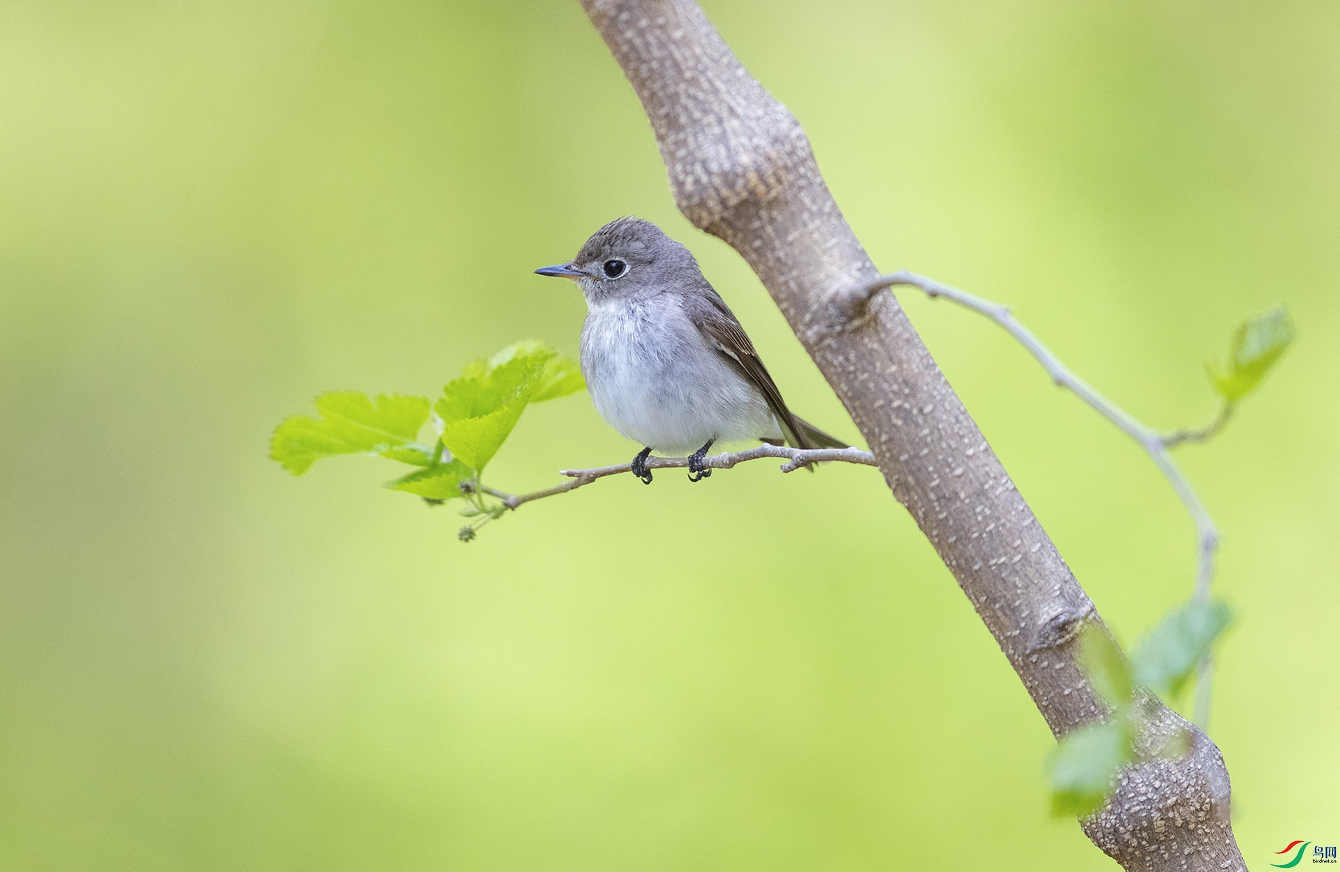 _K8I6773   �����O03.jpg