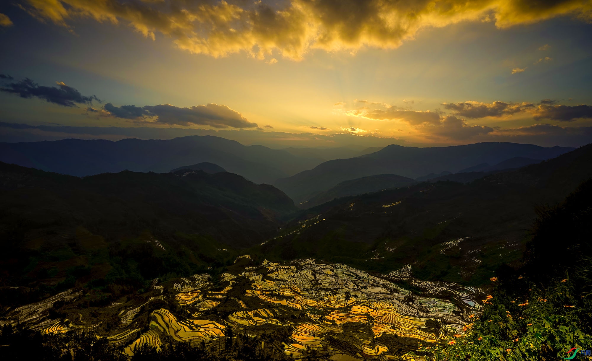 _DSC8103b.jpg