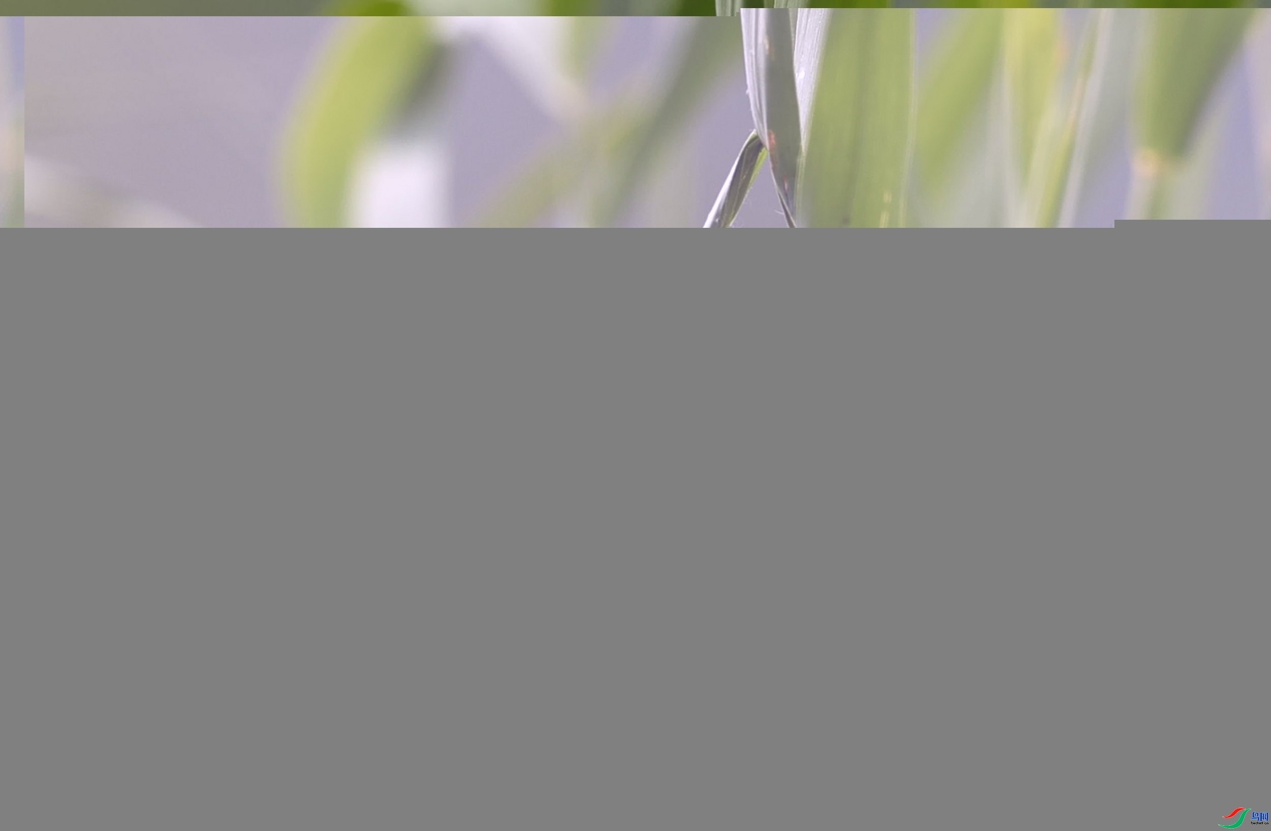 _C3I5107_����.jpg