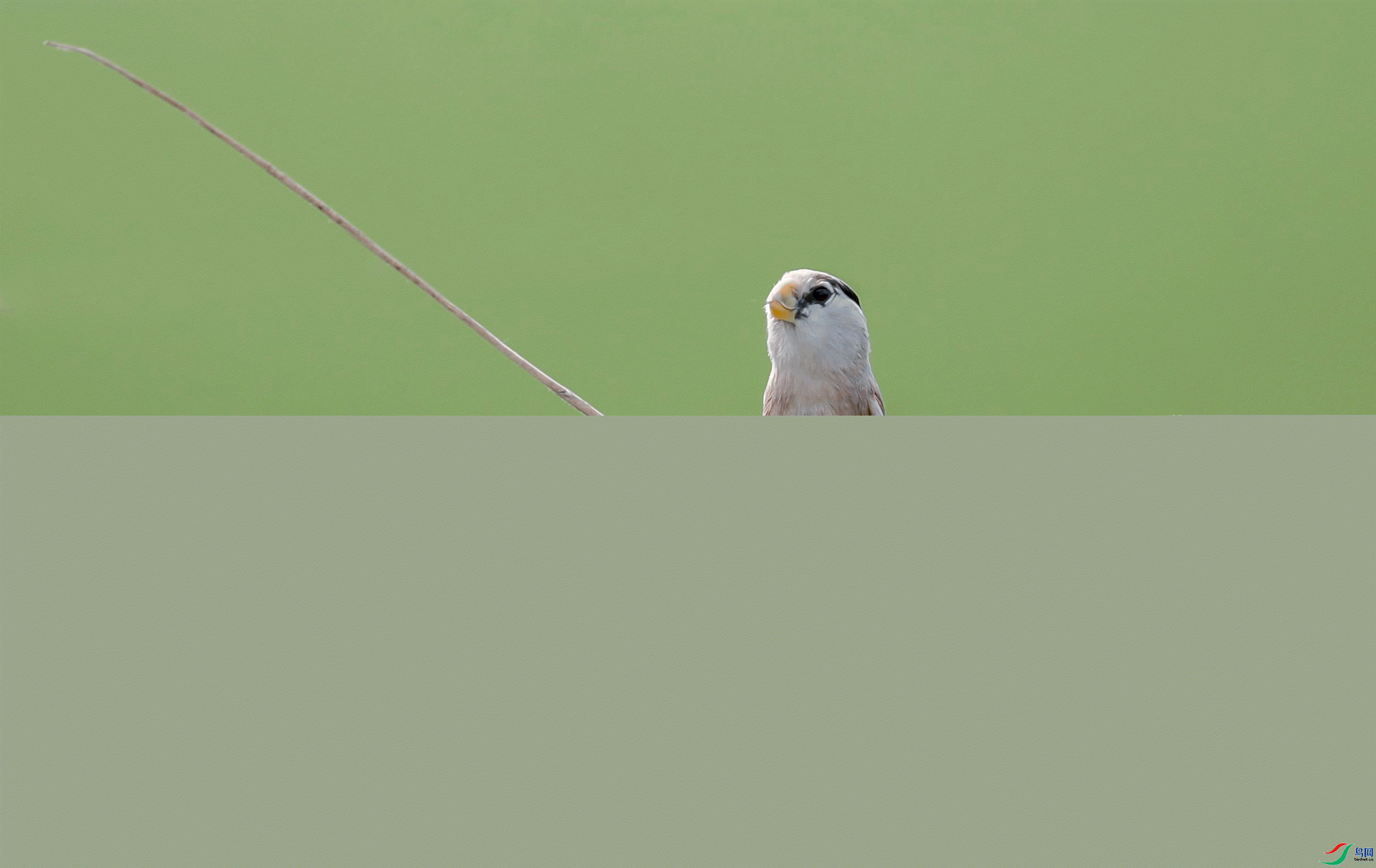_C3I5478_����.gif