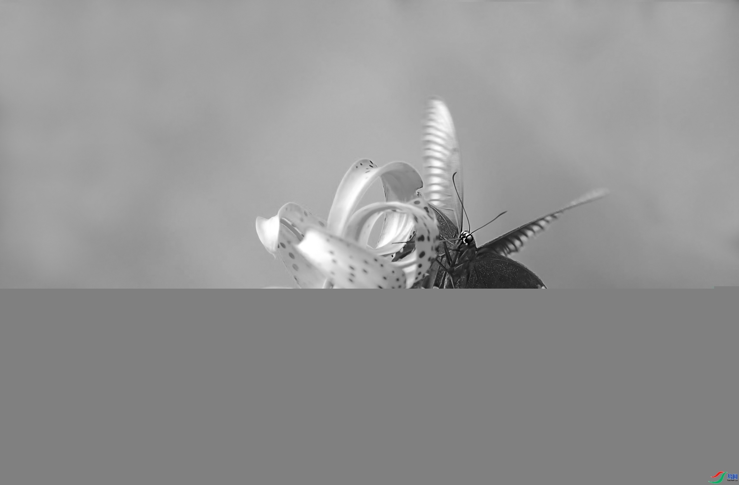_C3I6746_����-1.jpg