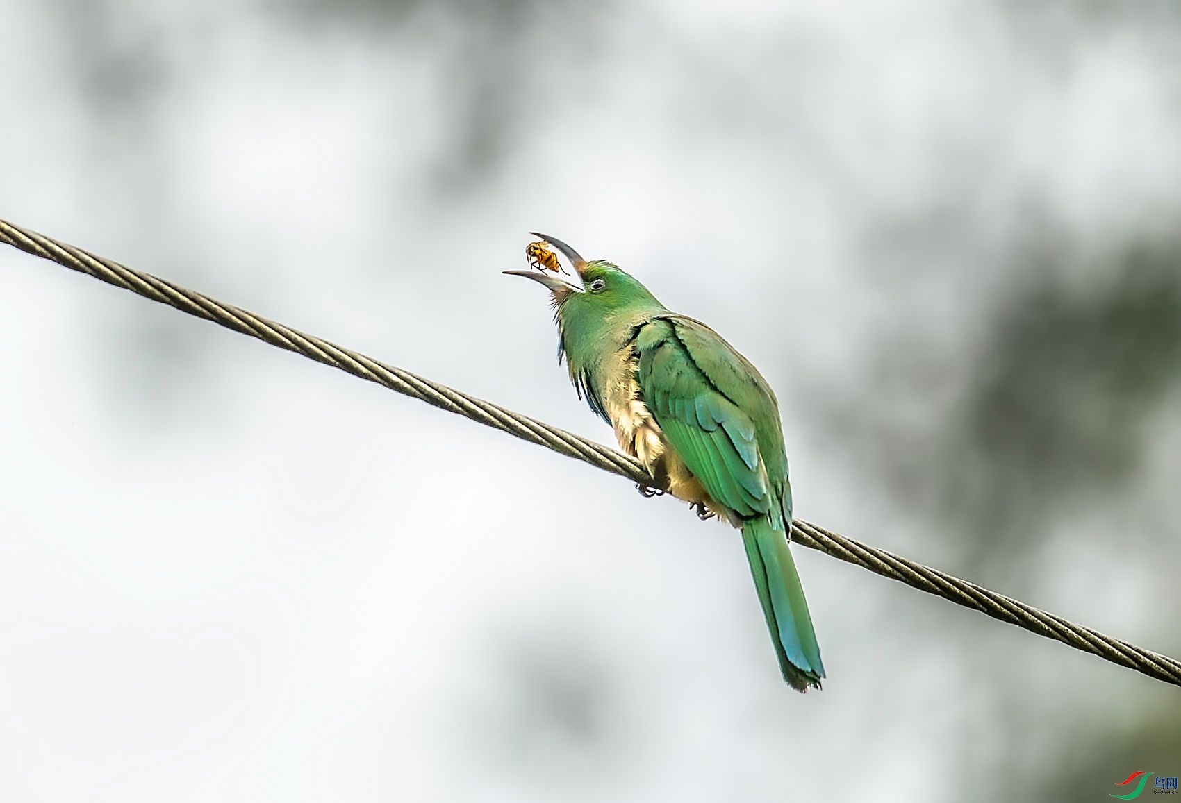 DSC_7701.jpg
