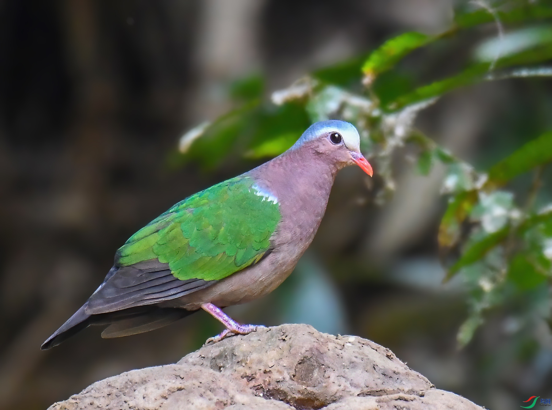 DSC_3575.jpg
