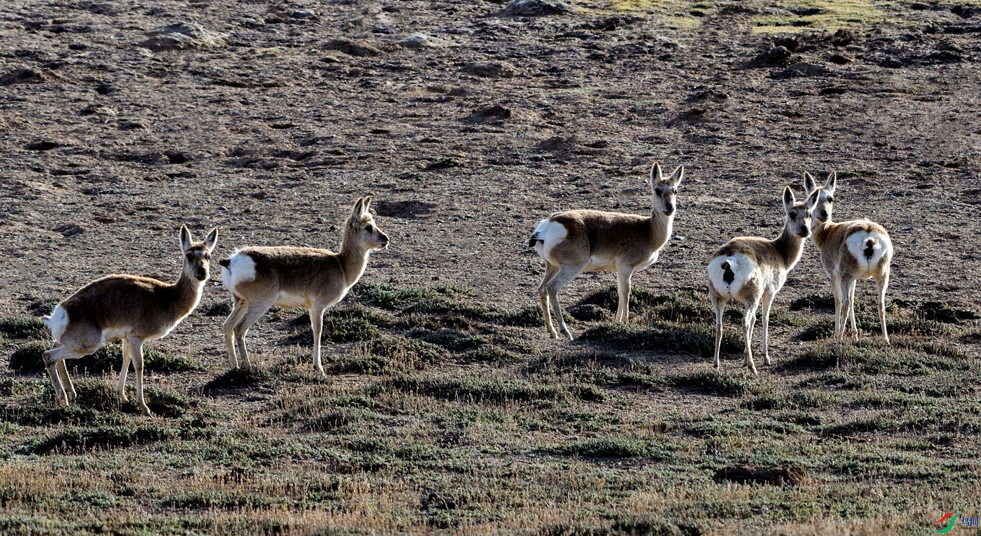 DSC_1645_����.jpg