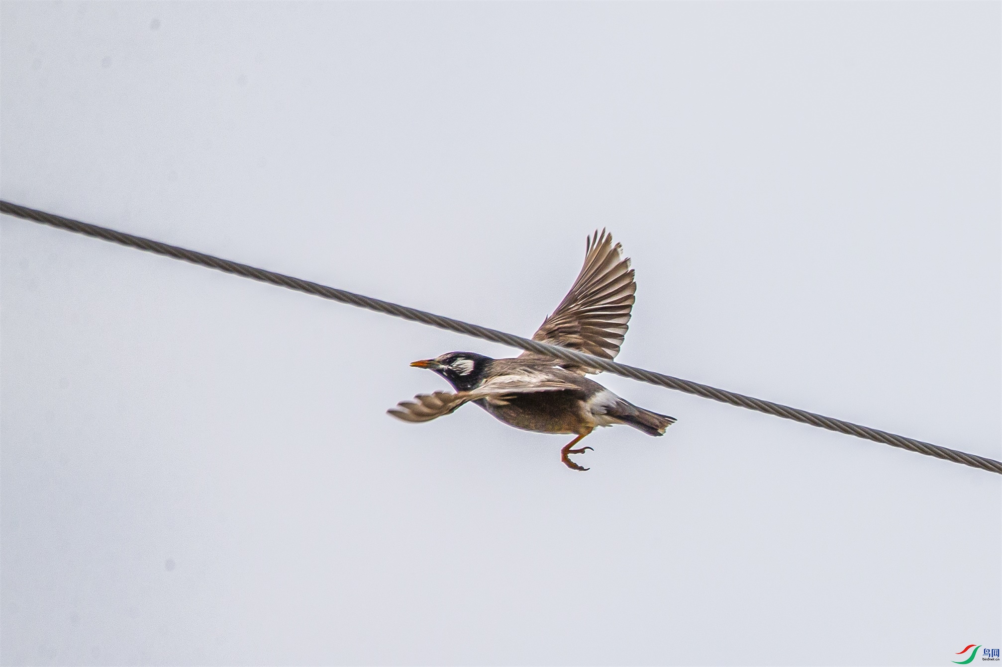 DK7T0075 ����1.jpg