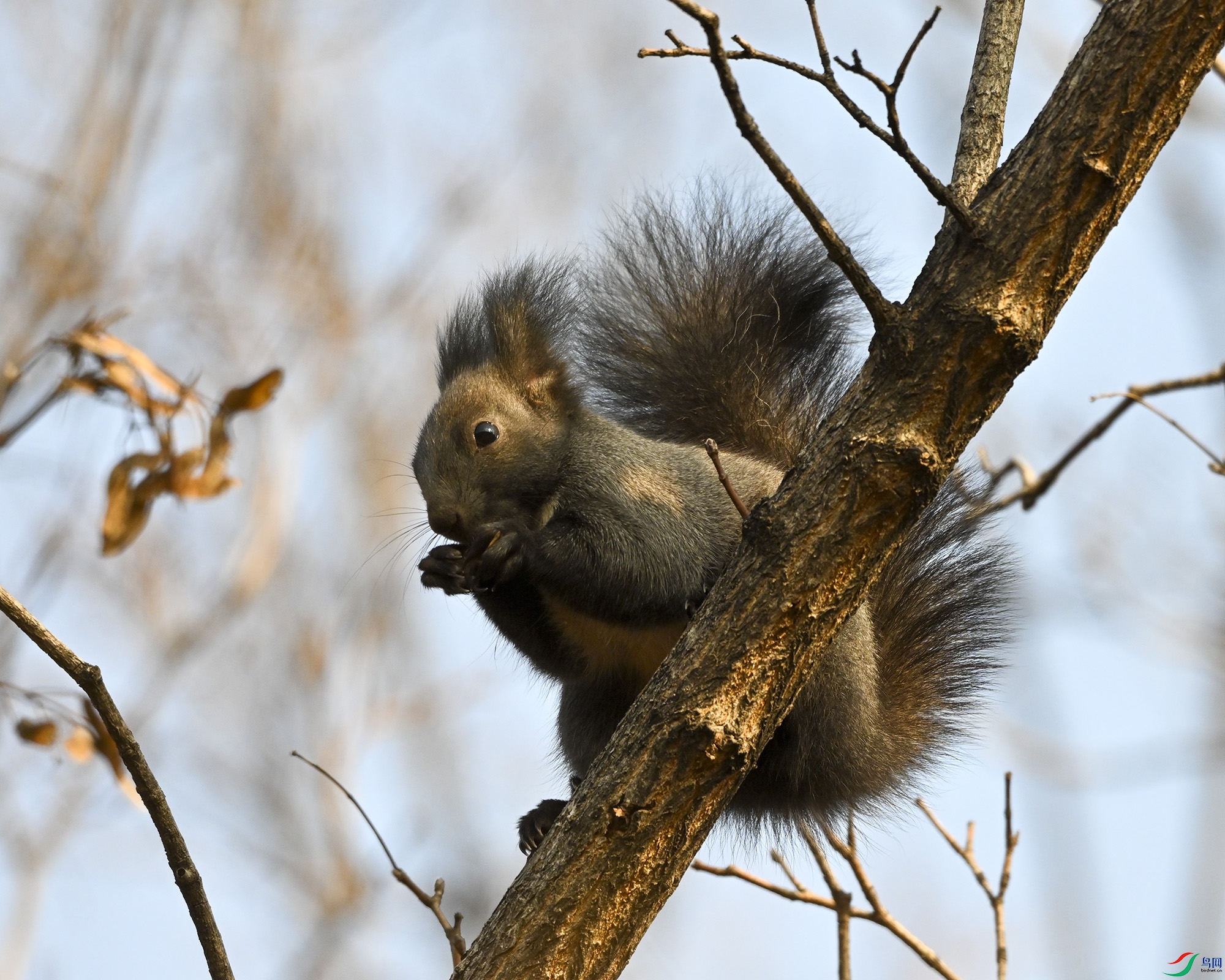 DSC_0723.jpg