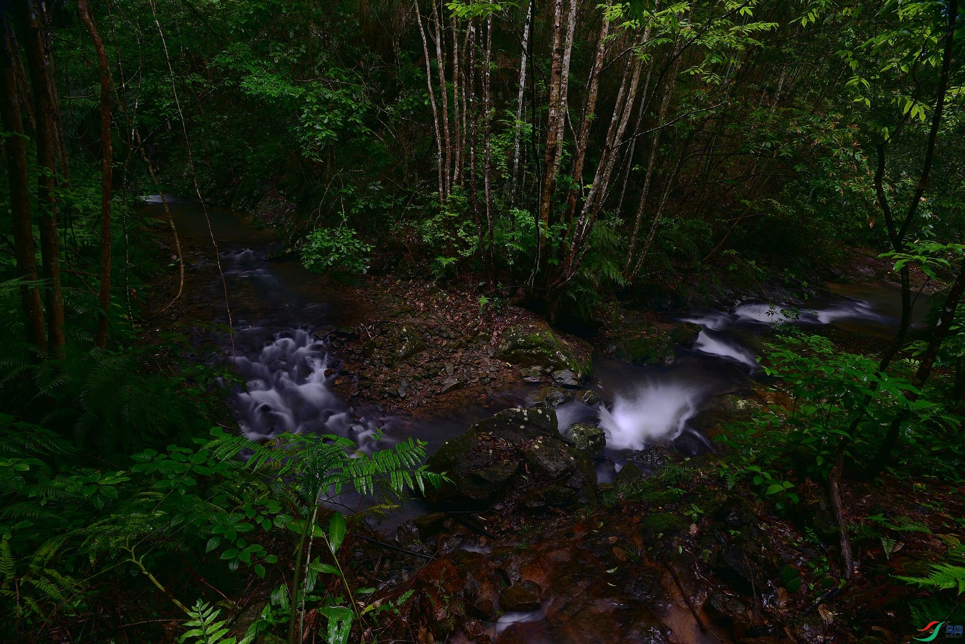 D8I_1017.jpg