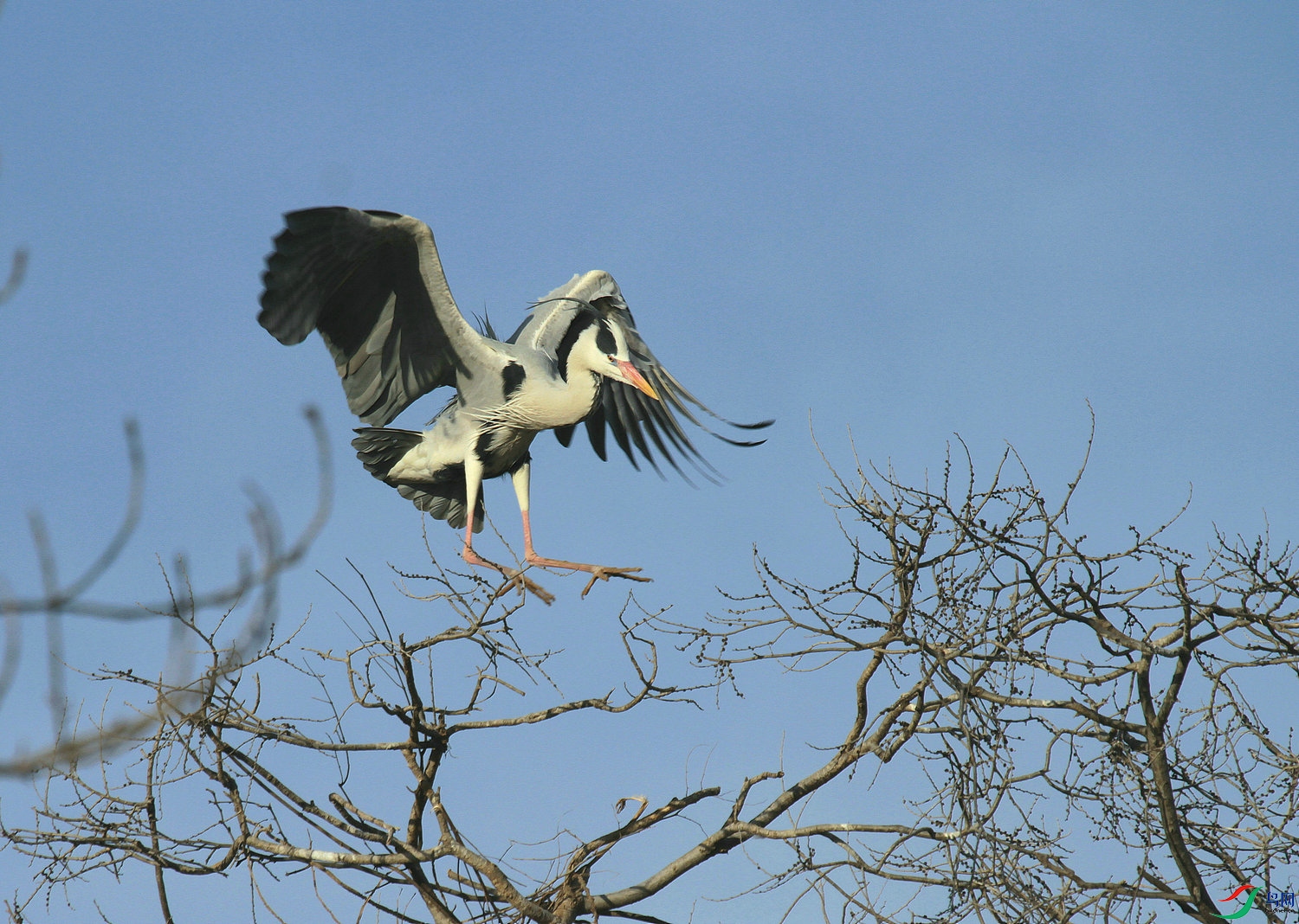 ���� B 12.jpg