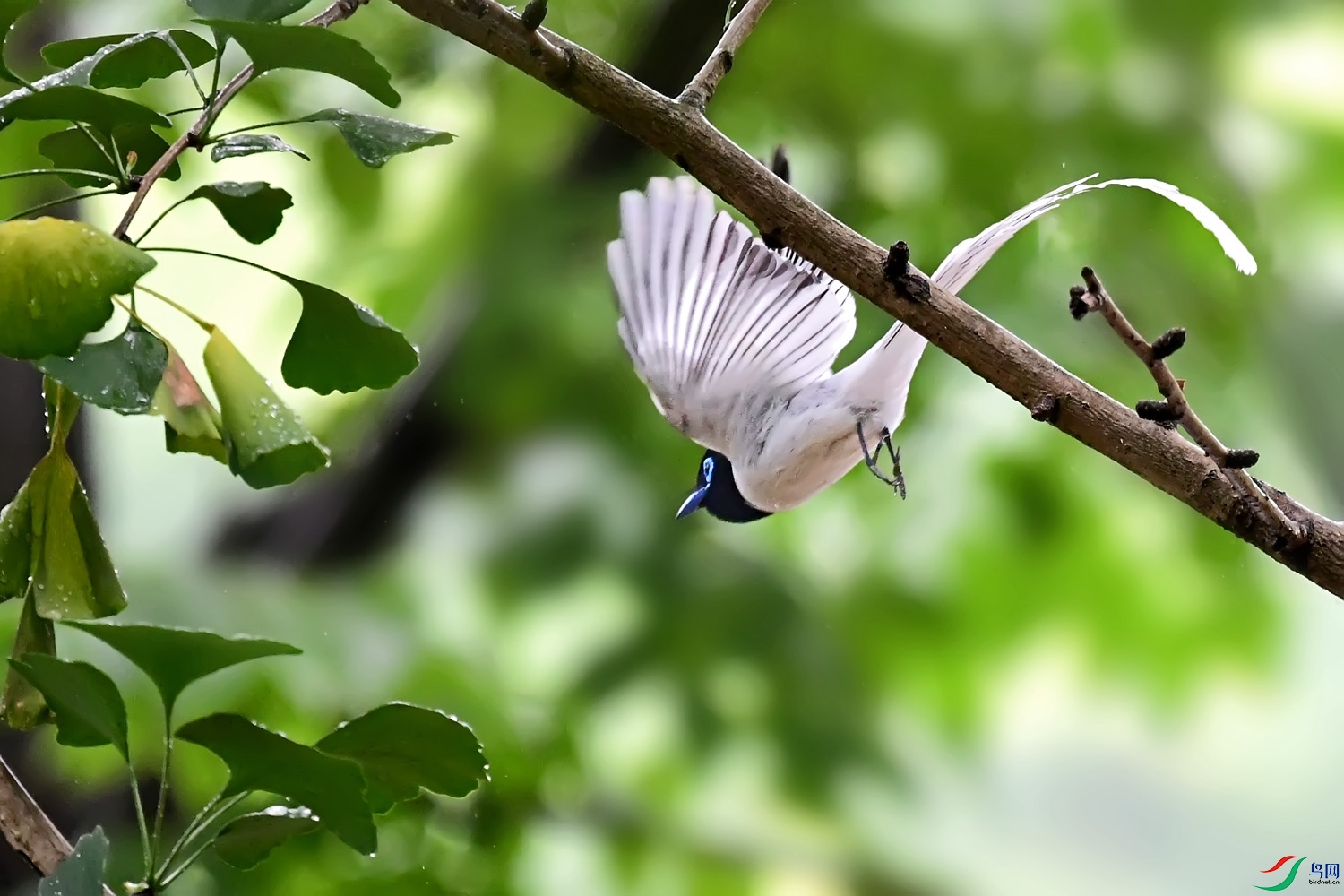 DSC_4805.jpg