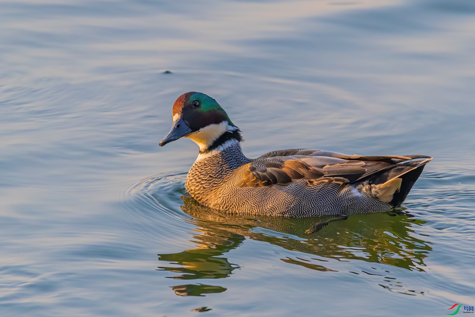 DSC_0205.jpg