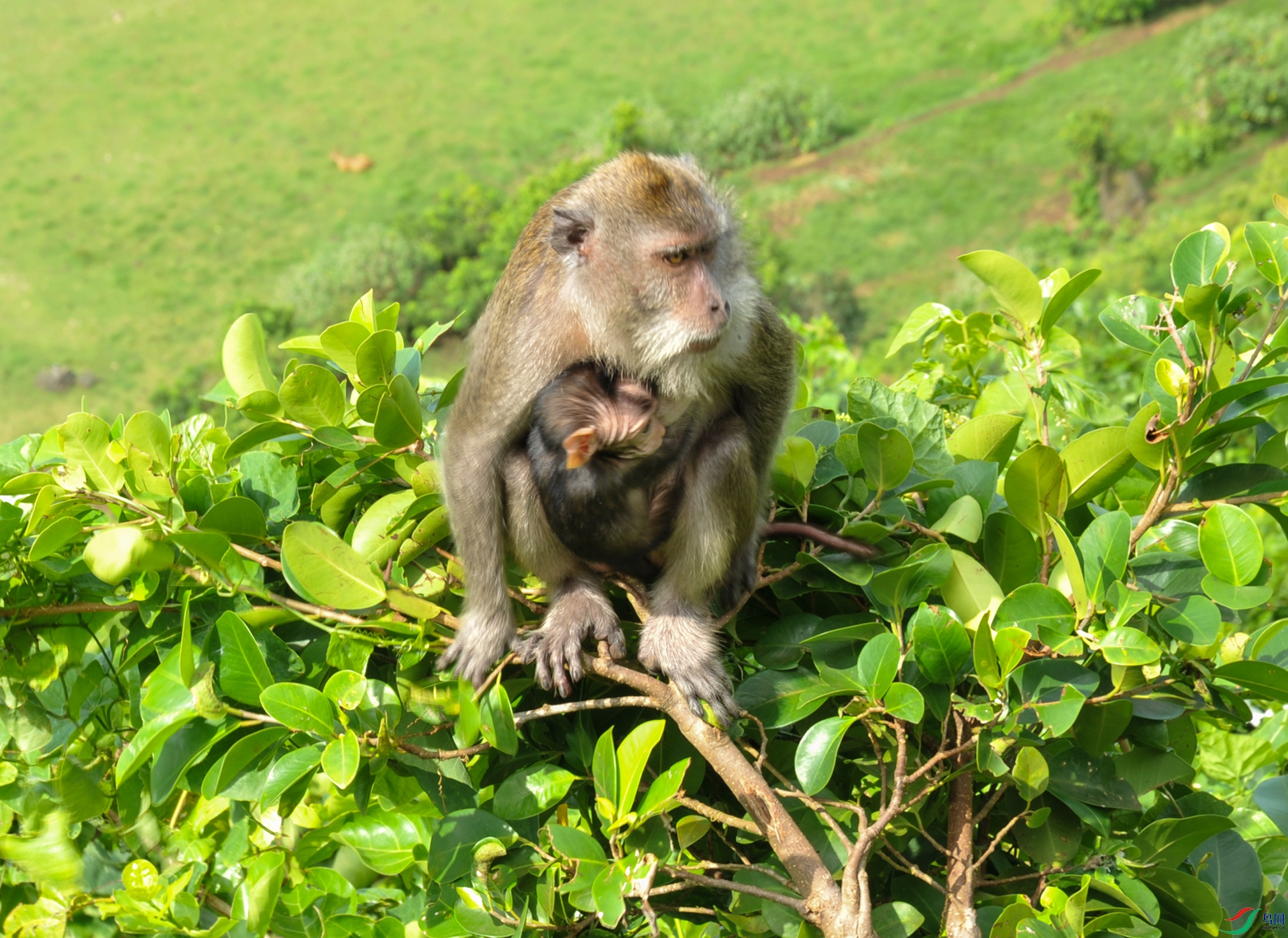 DSC_4276f.jpg