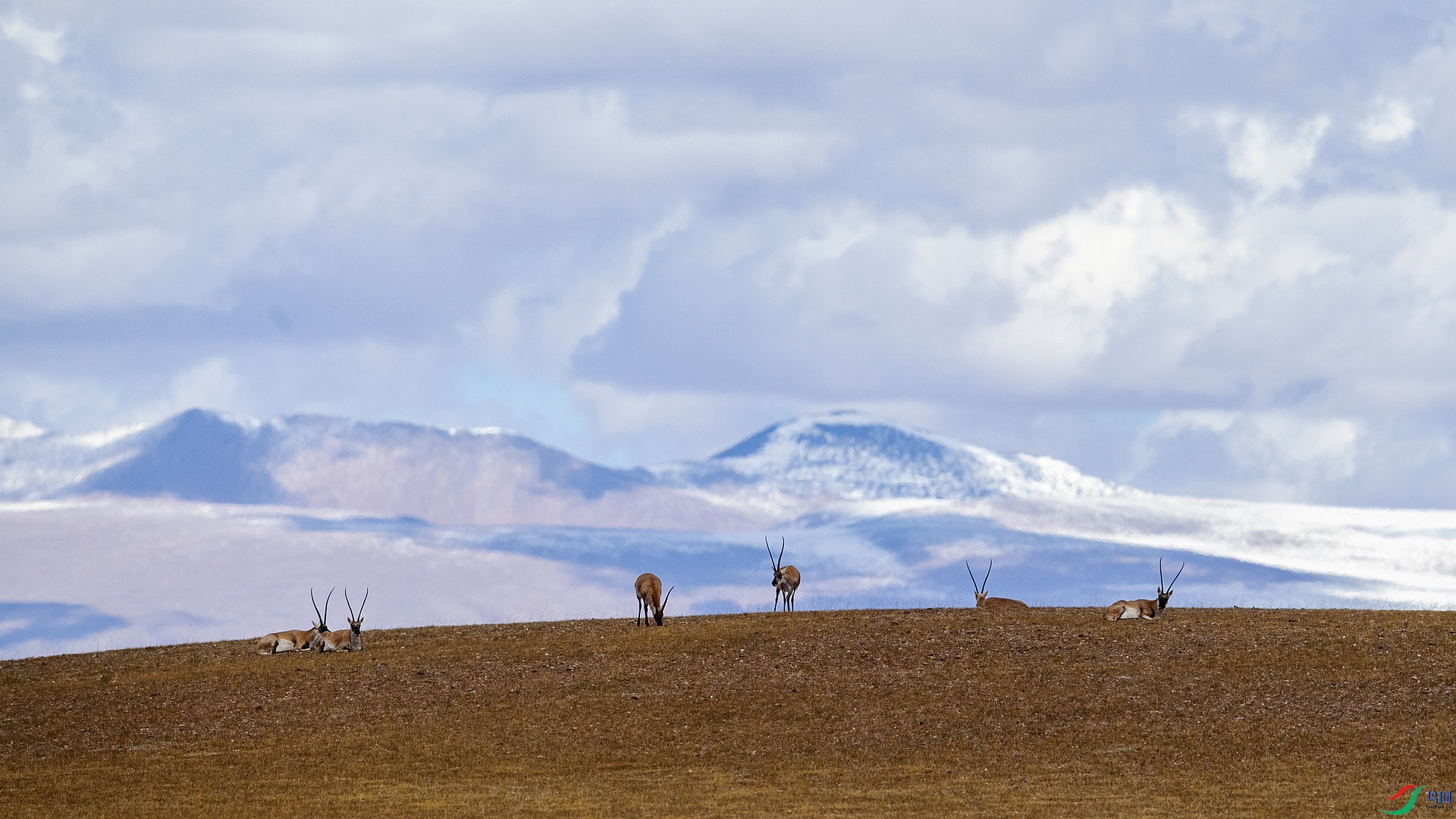 _DSC6704-1.jpg