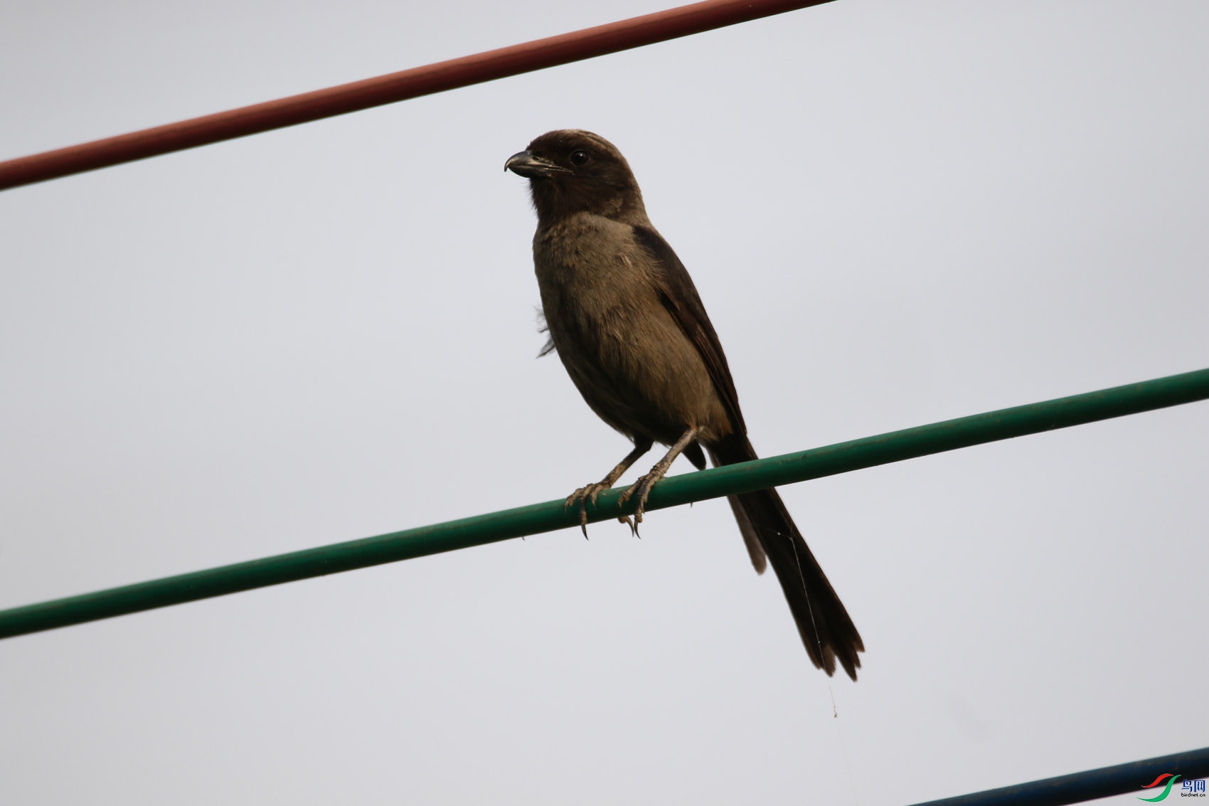 3S2A0297.JPG