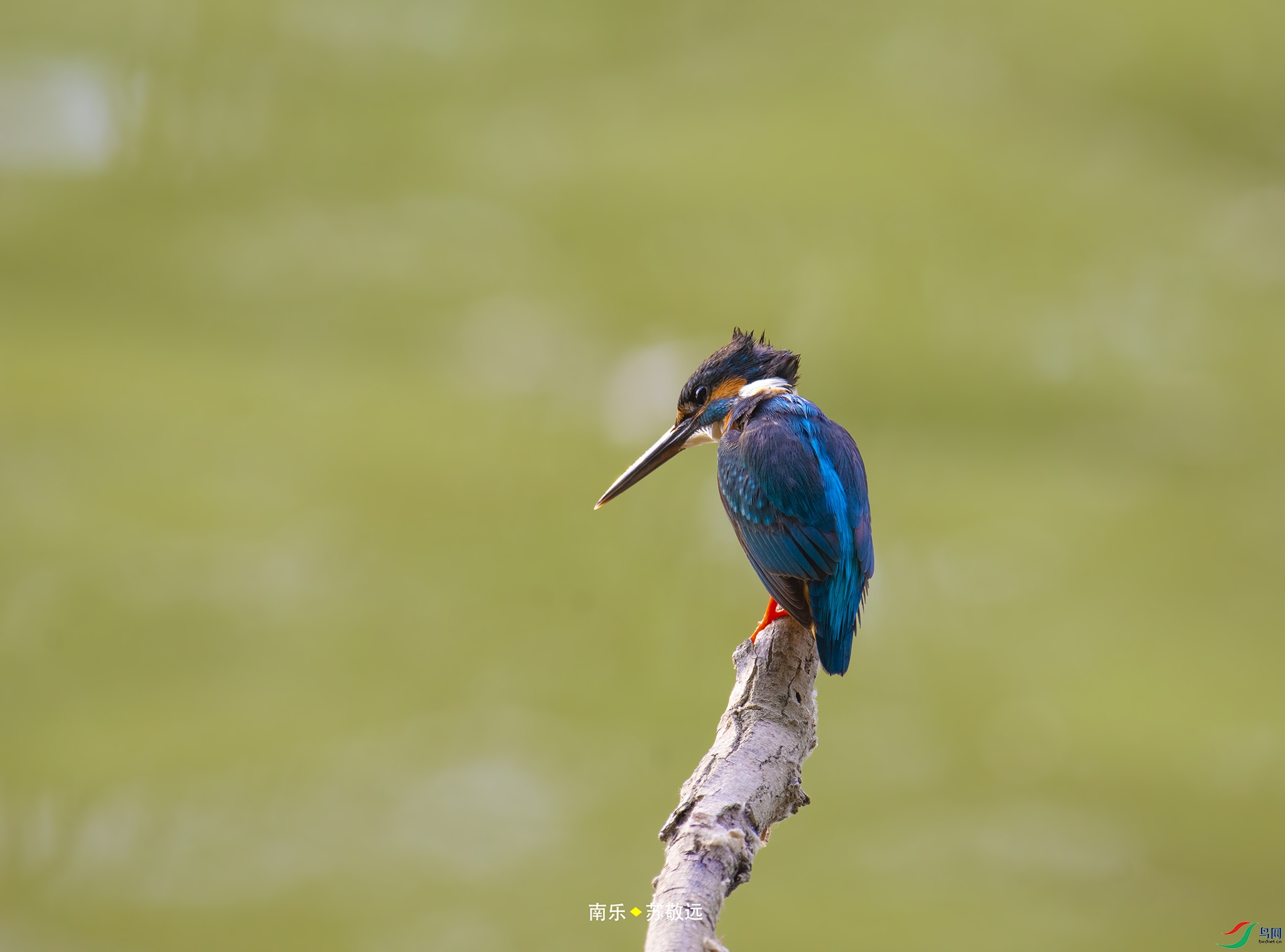 _DSC8847С.jpg