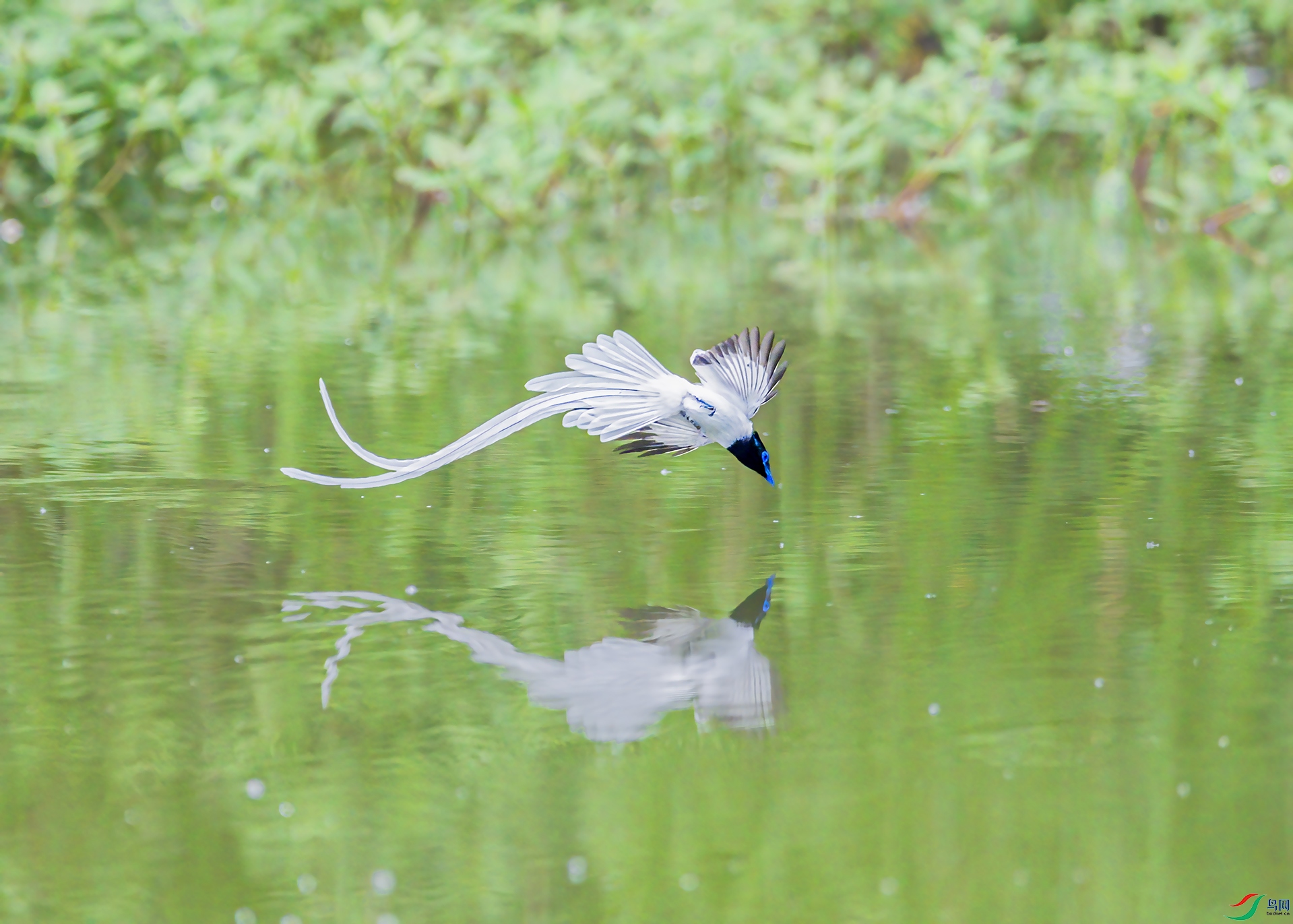 _DSC8693-.jpg