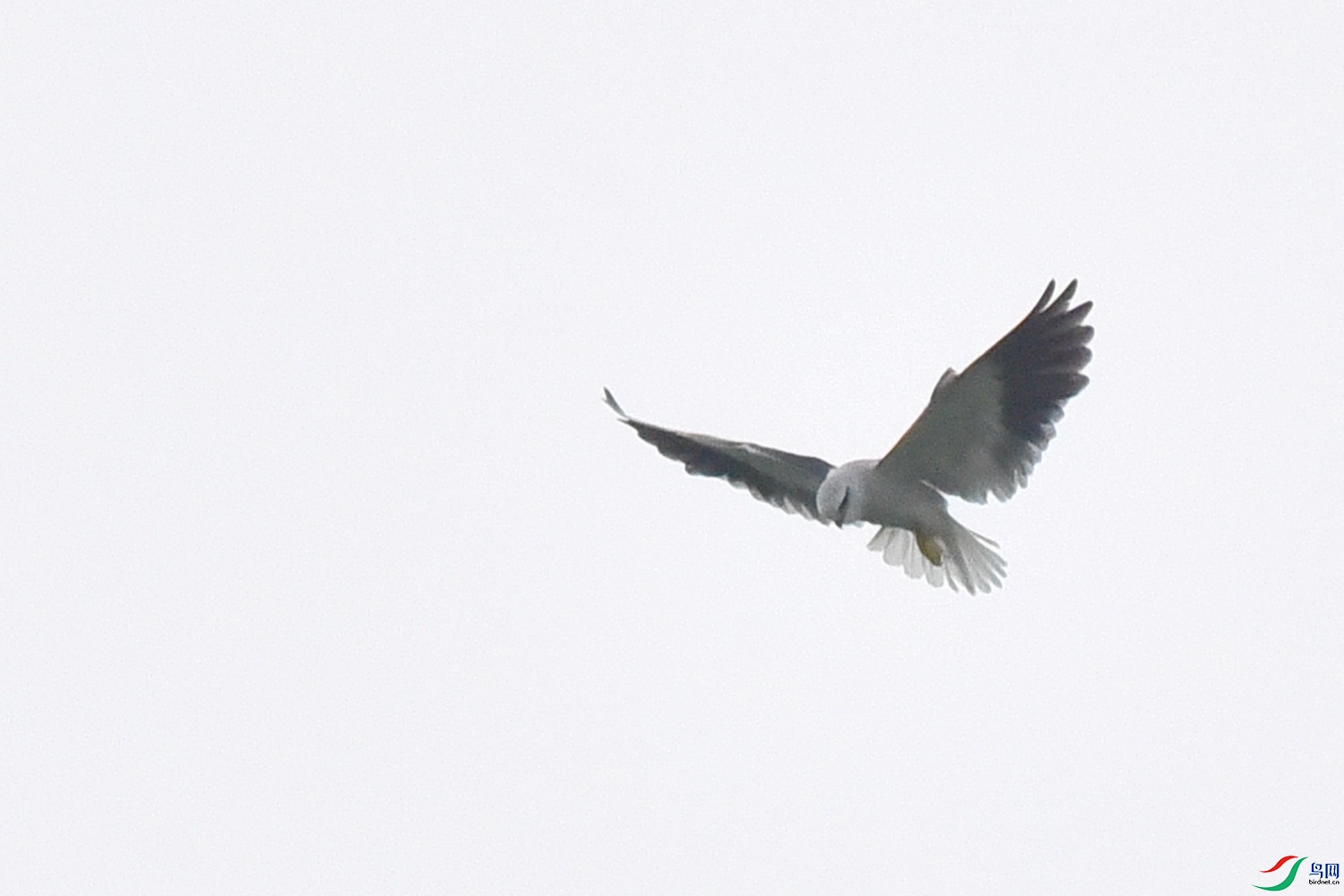 DSC_2072.JPG