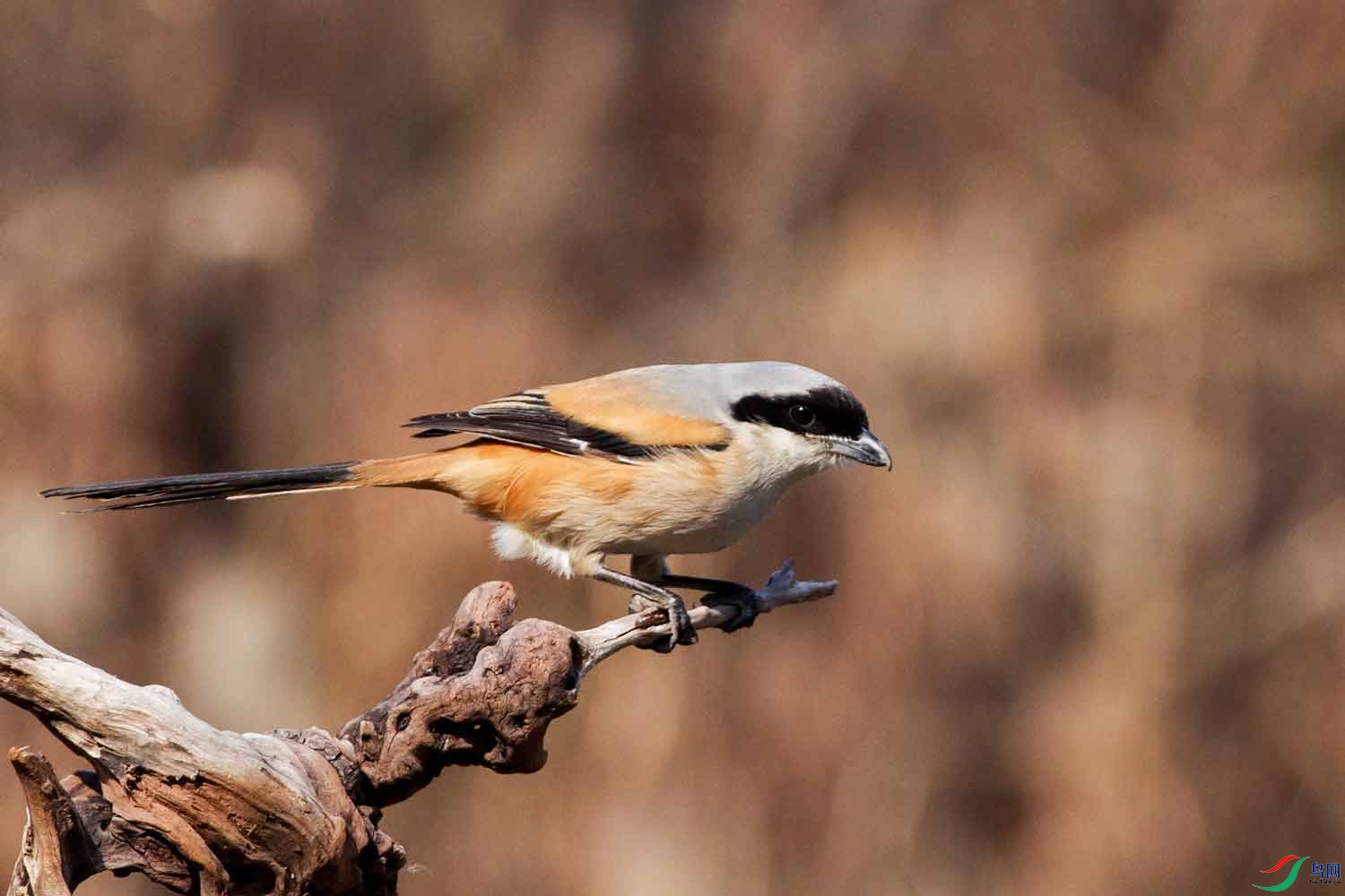 _IGP9374.jpg