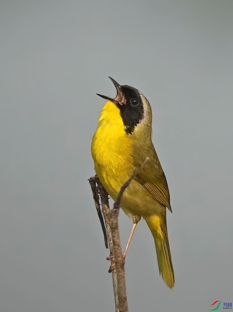 _DSD0035----.jpg