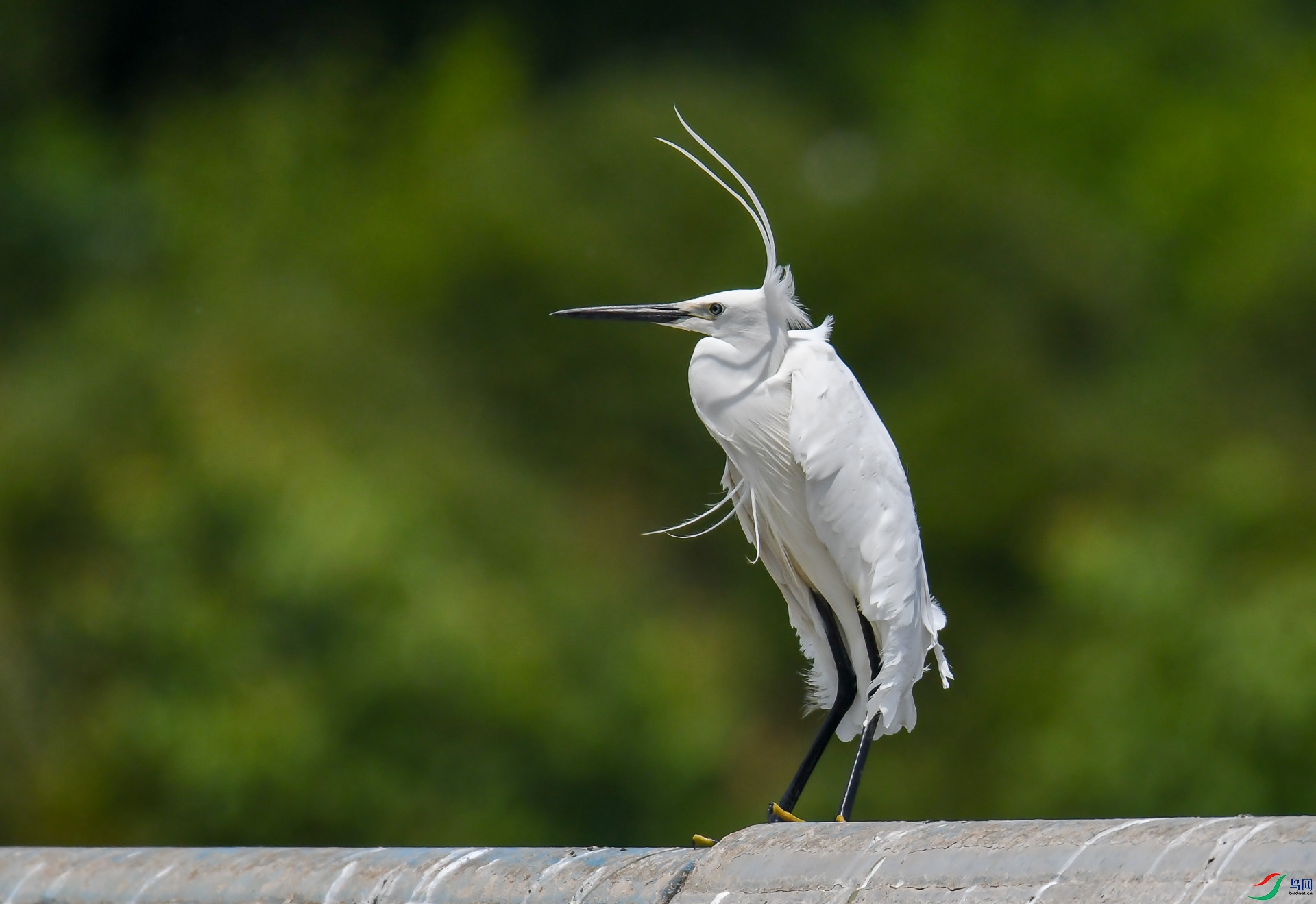 DSC_4769.jpg
