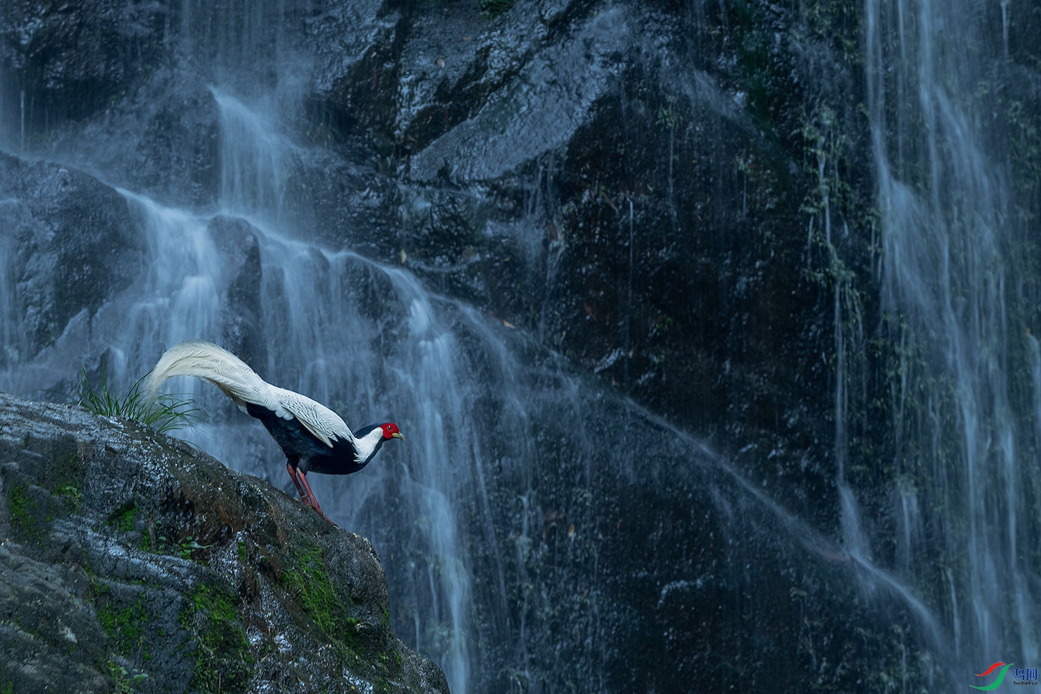 DSC_9477-2.jpg