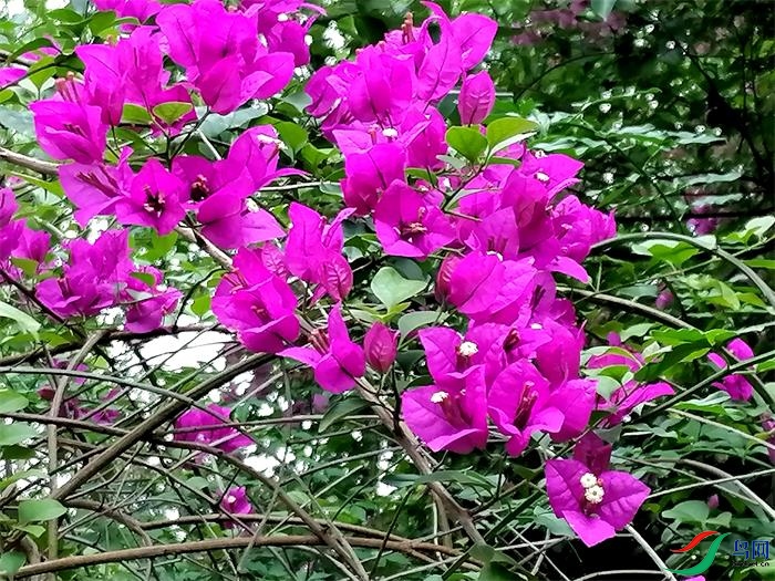 ΢��ͼƬ_20220526100135 - ����.jpg