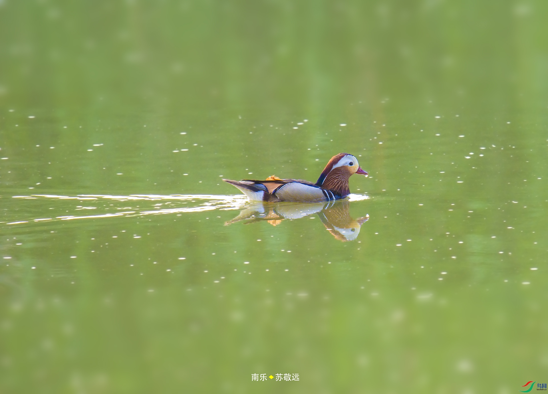 _DSC8655С.jpg