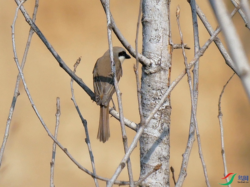 P8720345 - ����.JPG