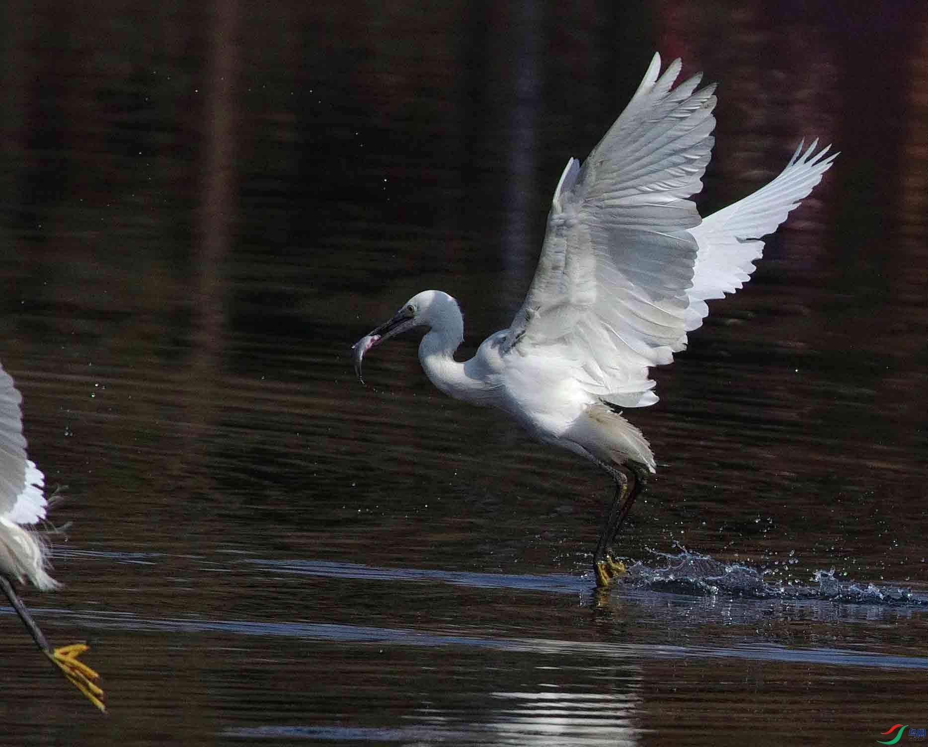 _IGP7815.jpg