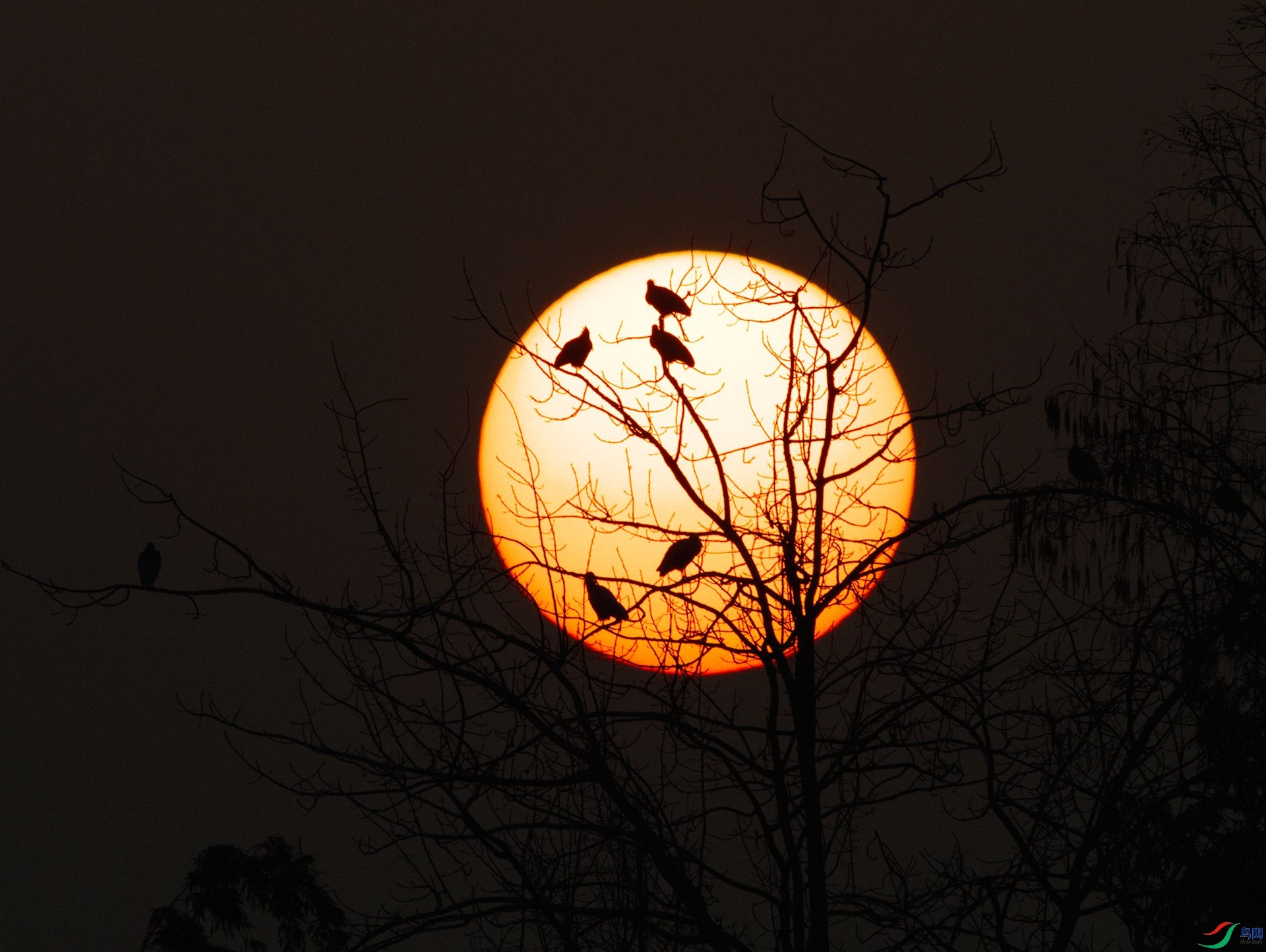 DSC_2076-Exposure.jpg
