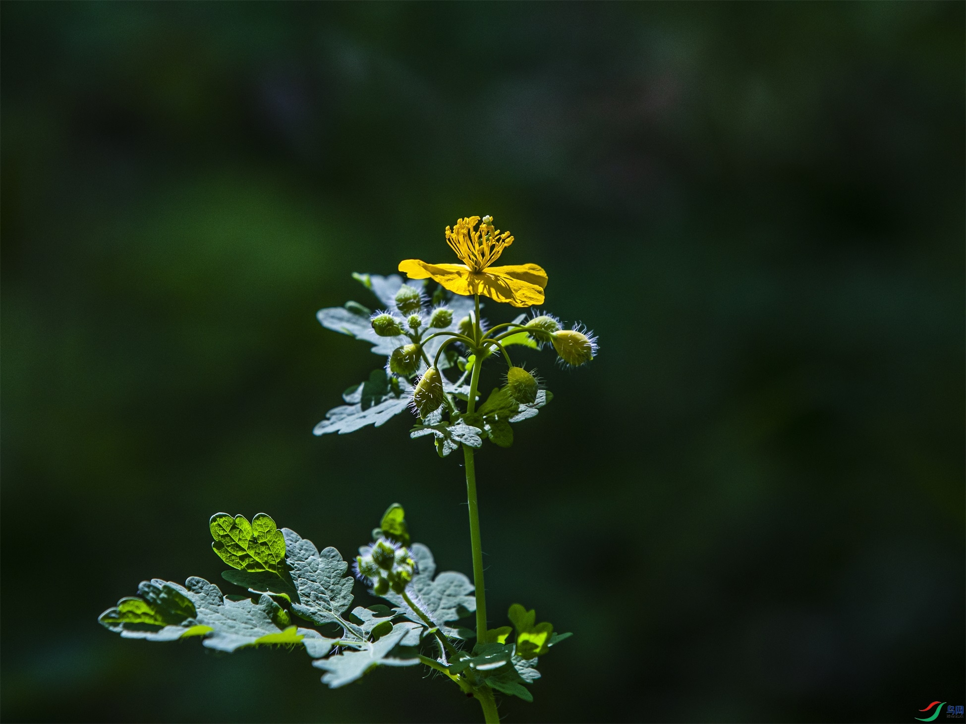 027 ����1.jpg