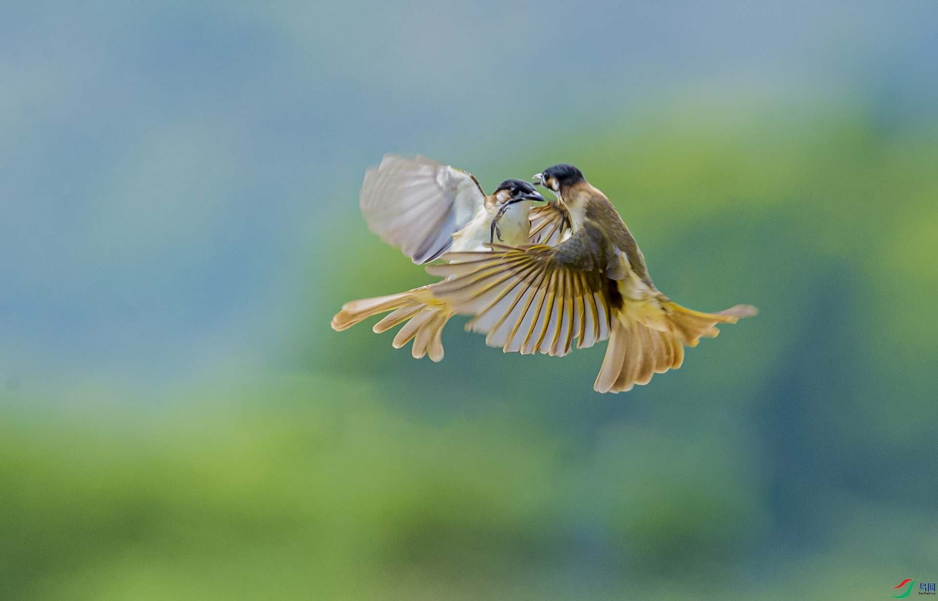 AE8I1156 ����-1.jpg