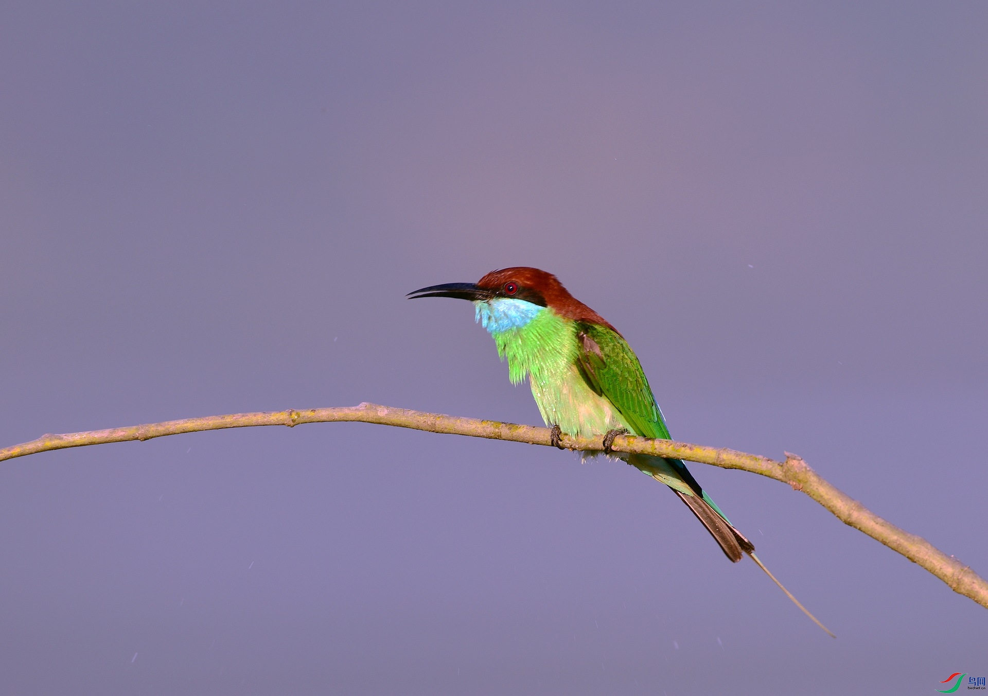 D8I_9591.jpg