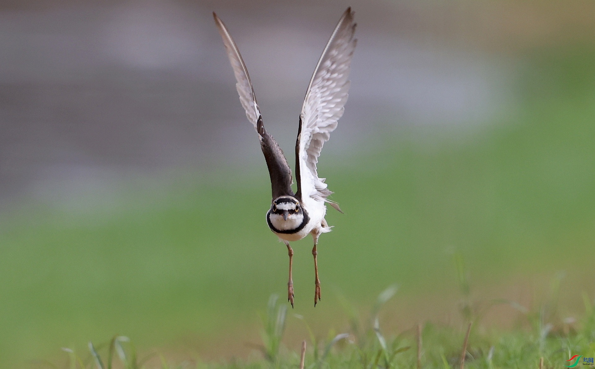 ����4A6A4739 ���ǲ˲�����Ҳ���ո����֡���.JPG