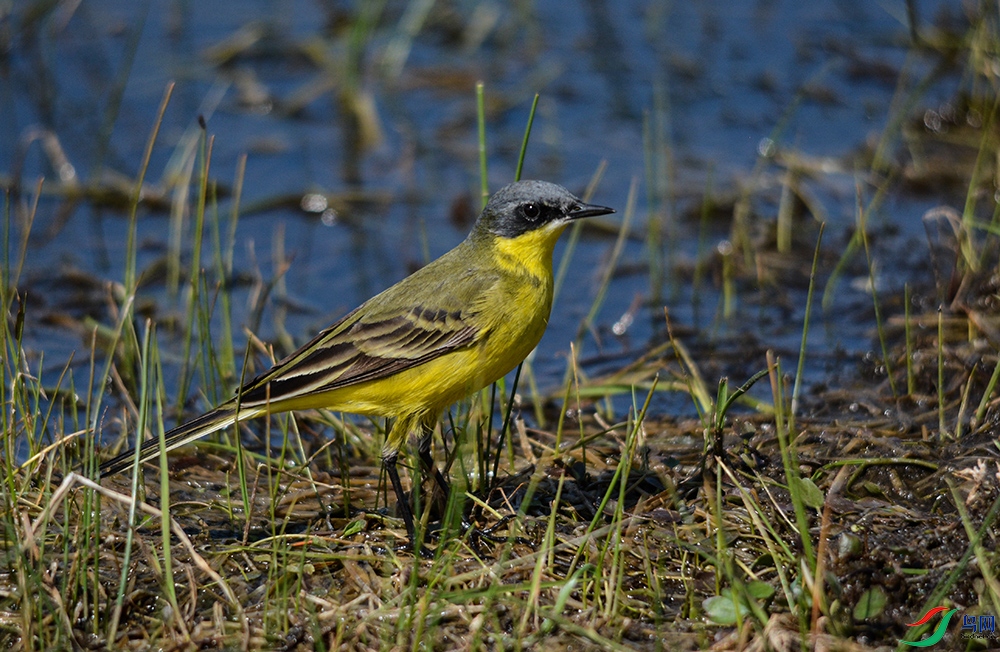 DSC_0846.JPG
