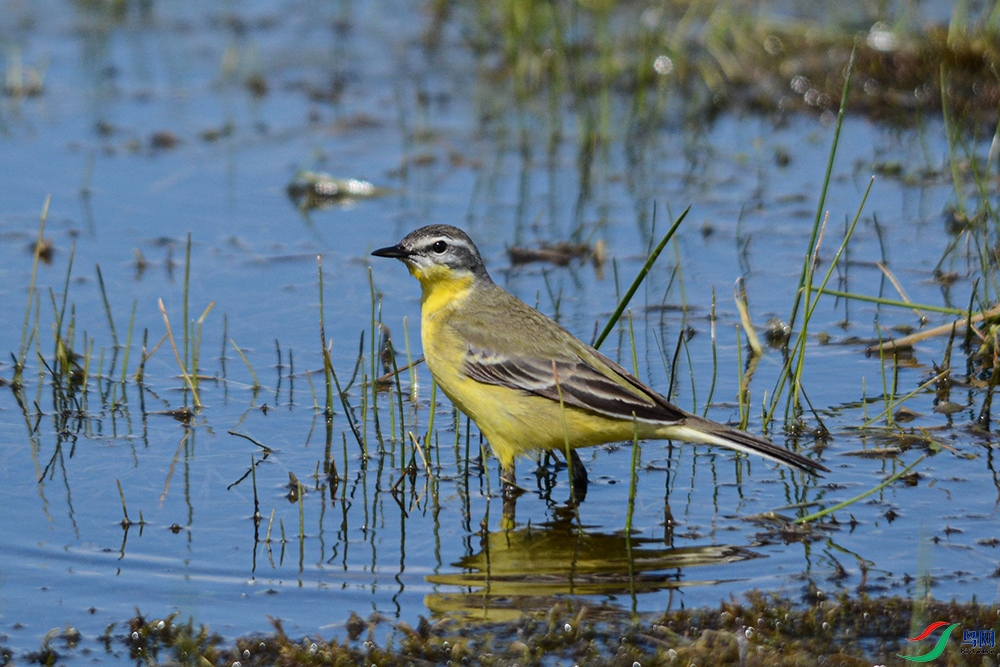 DSC_0624.JPG
