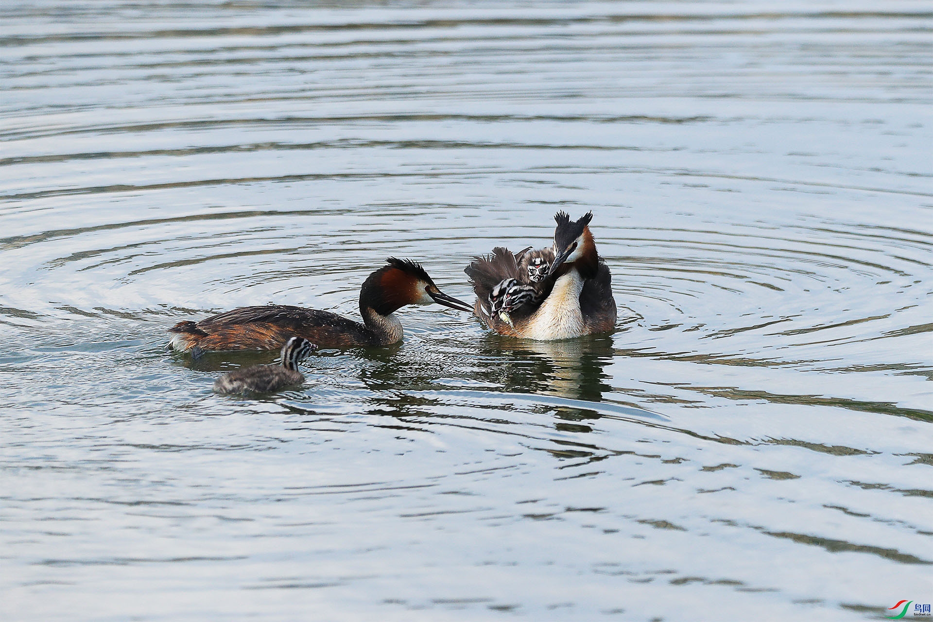 CD0I5198.jpg