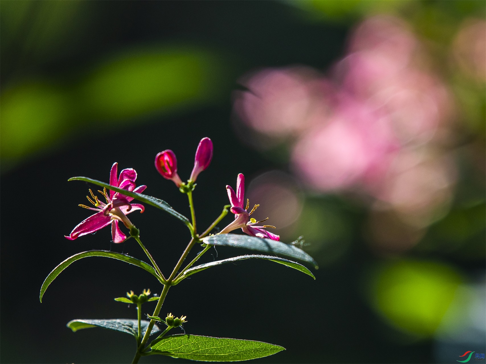 008 ����1.jpg