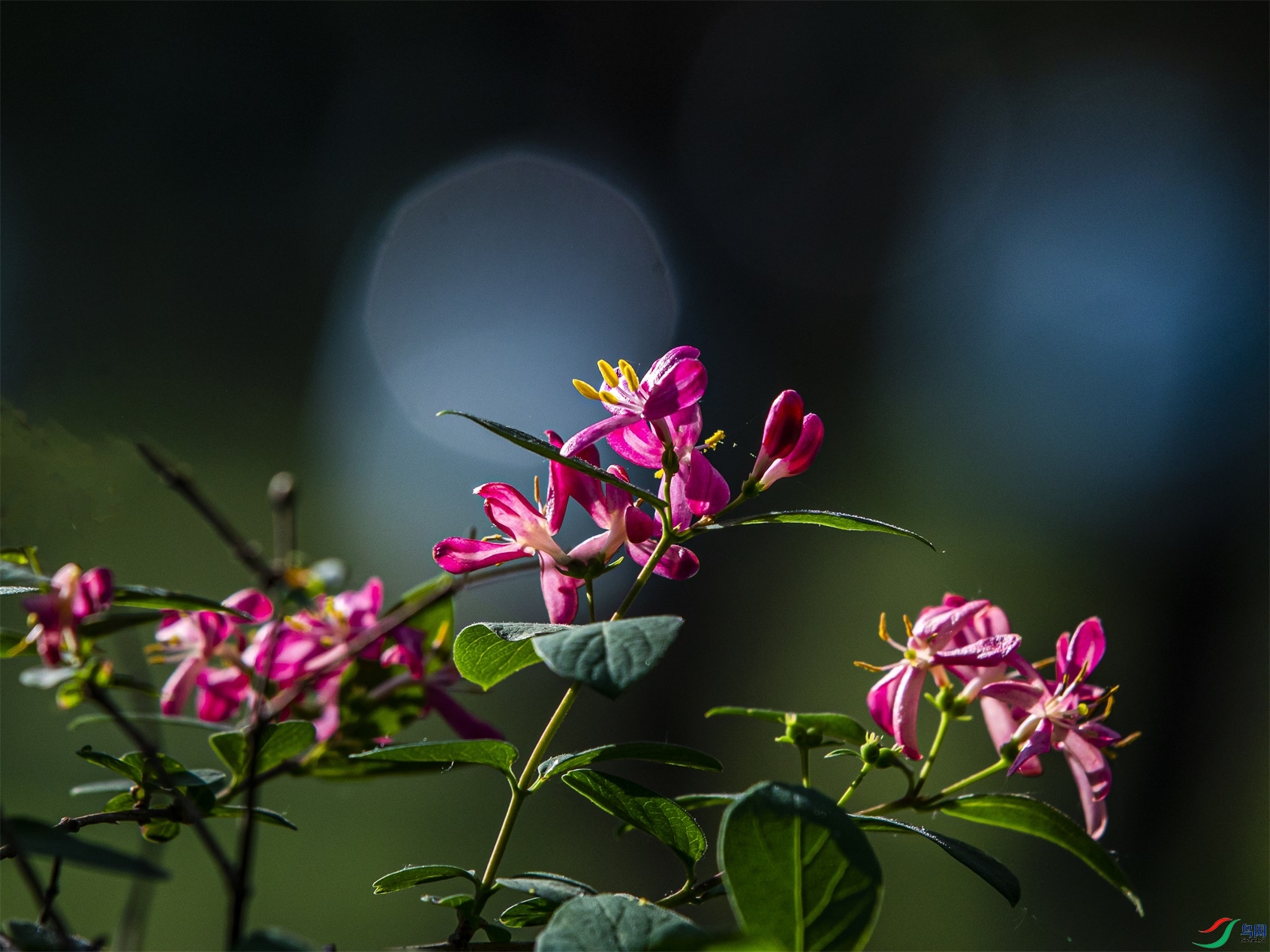 006 ����1.jpg