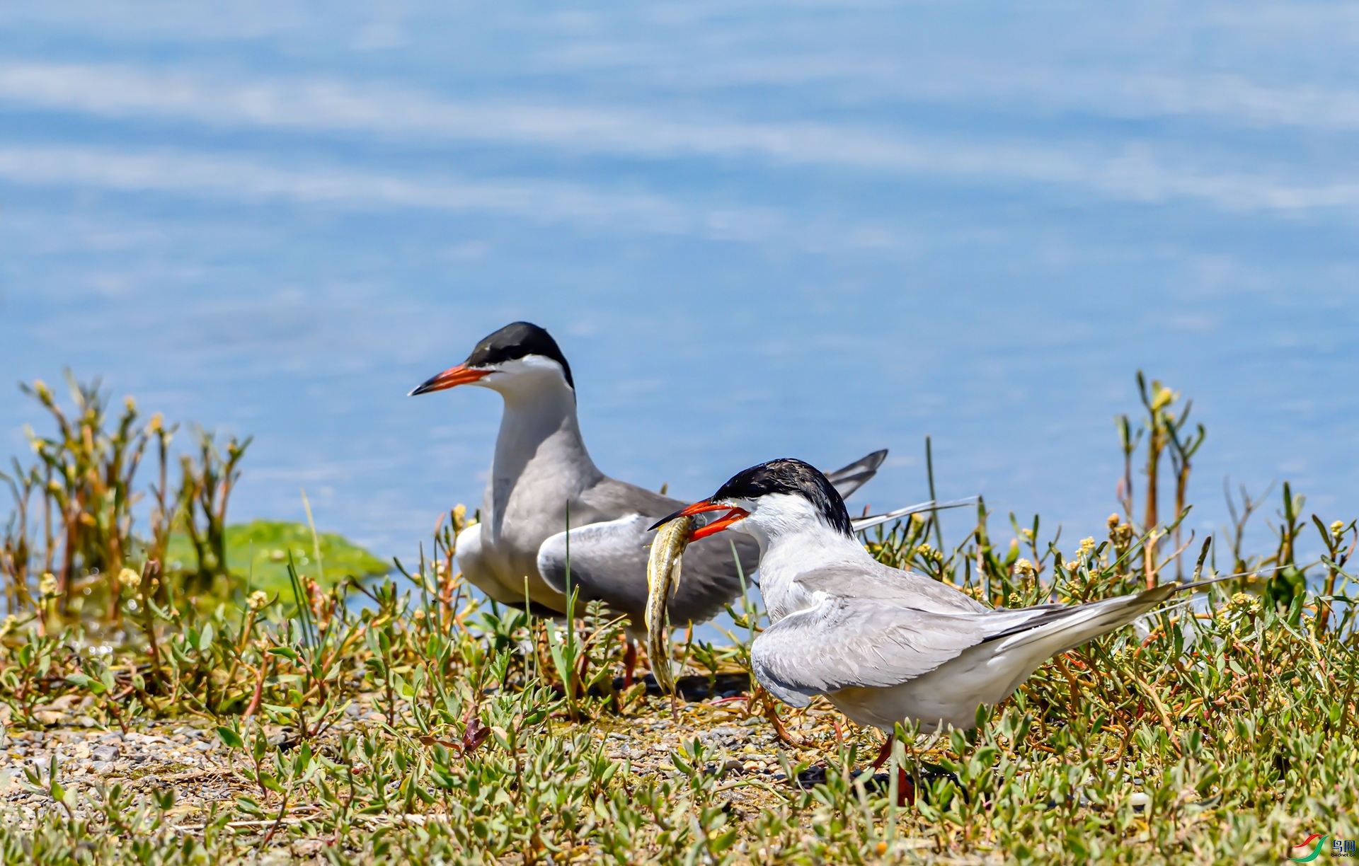 _DSC4730_����.jpg
