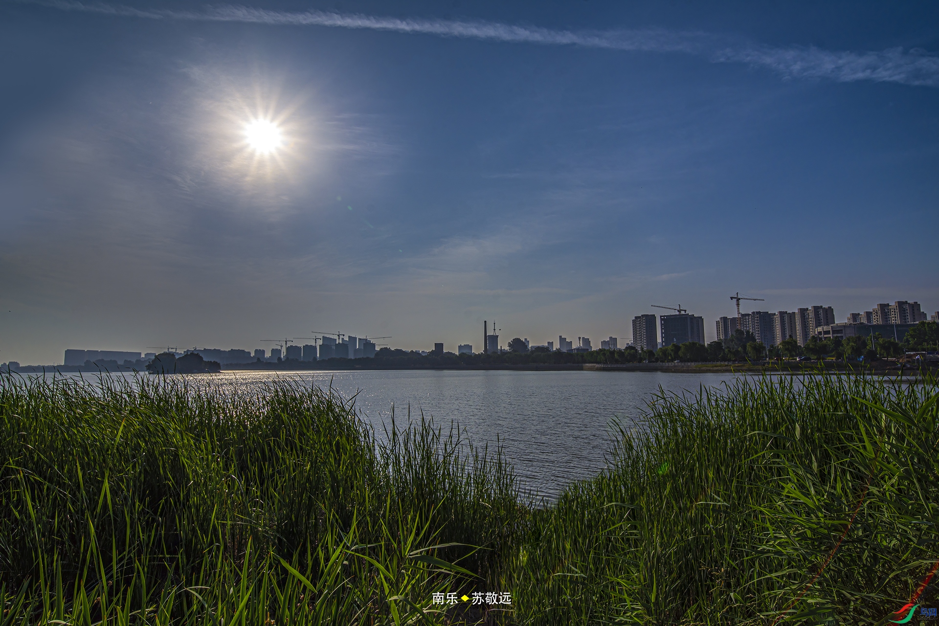 _DSC9131С.jpg