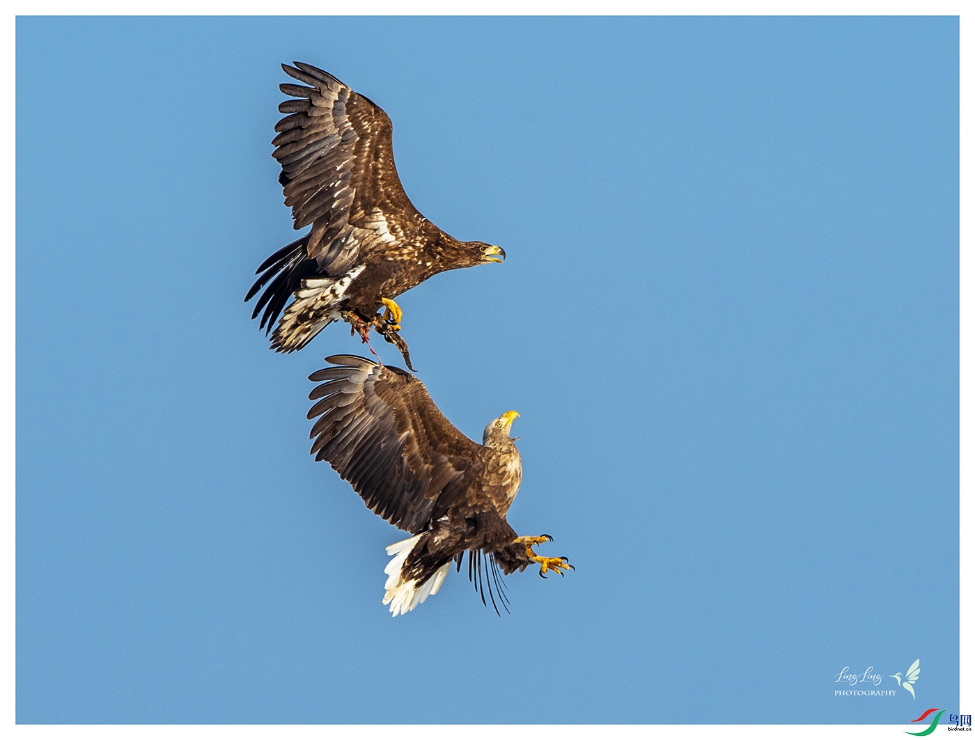 DSC_7178-2.jpg