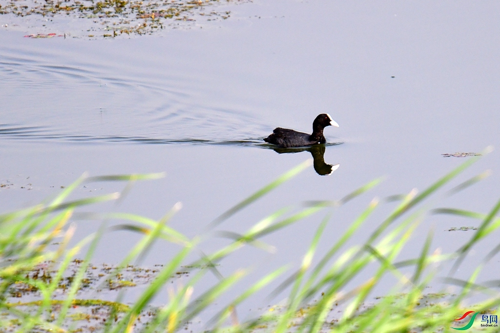 DSC_1242.JPG