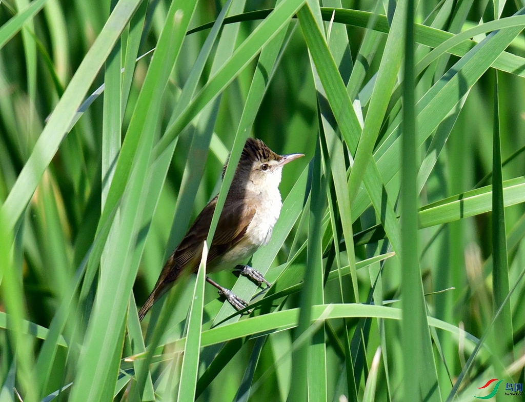 DSC_1150.JPG