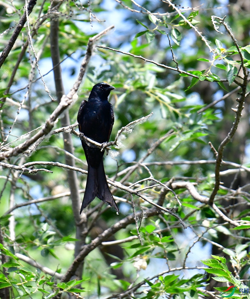 DSC_1280.JPG