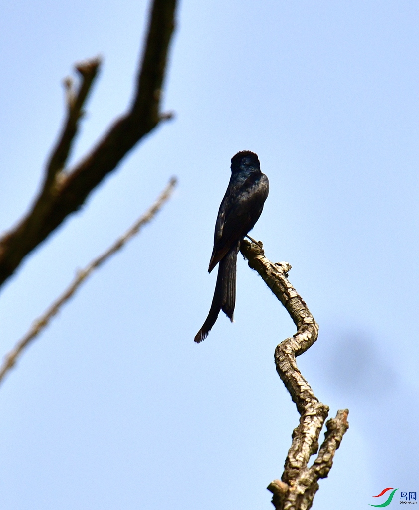 DSC_1344.JPG